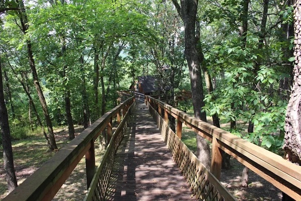 A wooden walkway through the woods